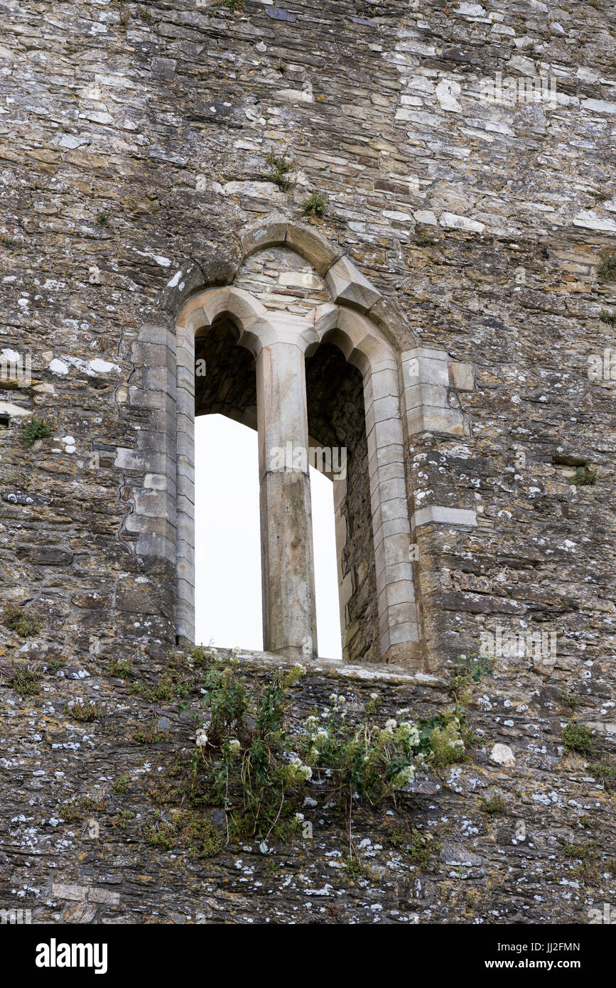 Ferns Castle, County Wexford, Ireland, an Anglo-Norman fortress, built in the middle of the 13th century by William, Earl Marshall. Today about half o Stock Photo