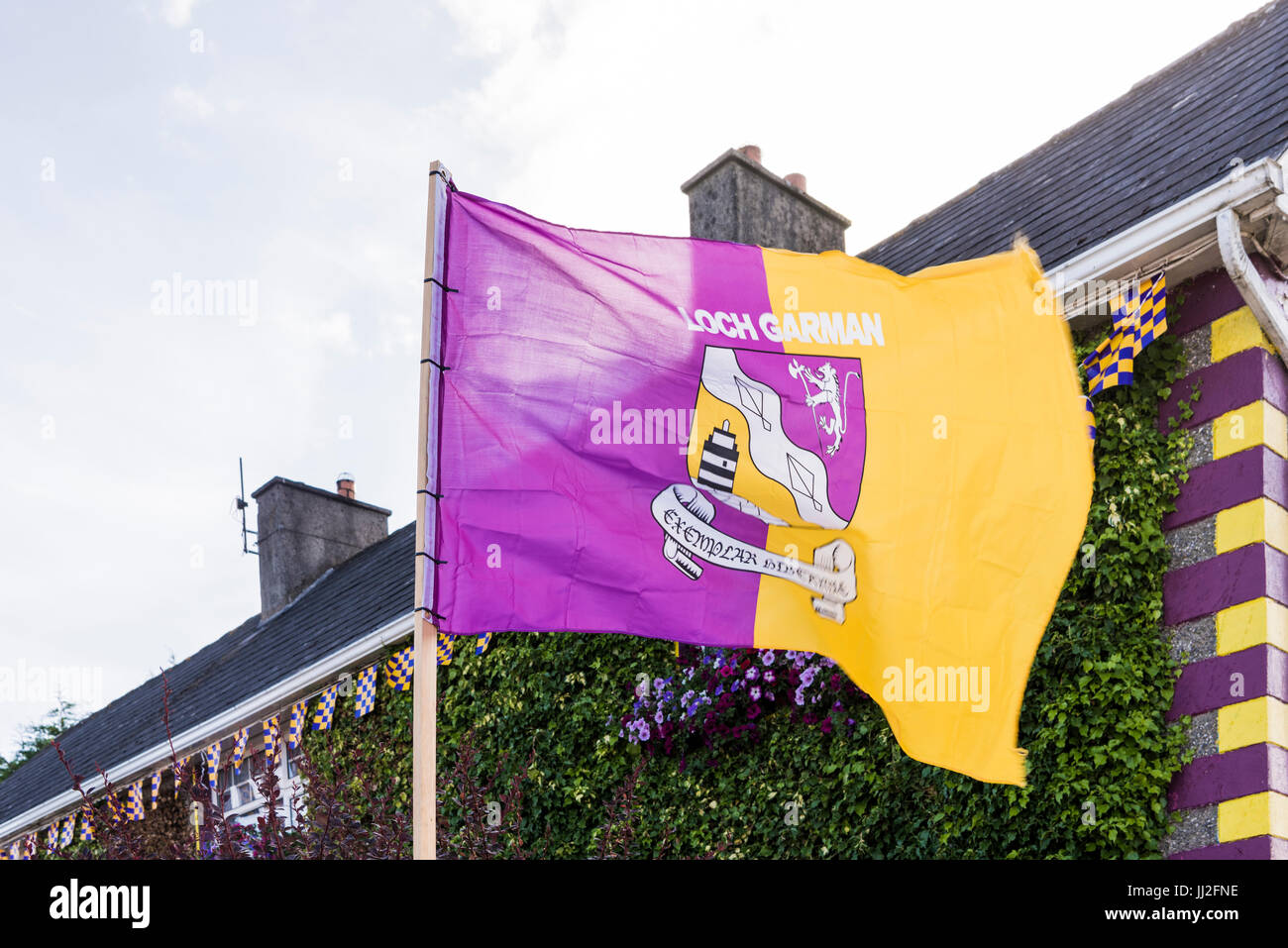 A house in County Wexford decorated in lots of flowers, and the flags and colours of the Wexford GAA taam, purple and yellow. Stock Photo