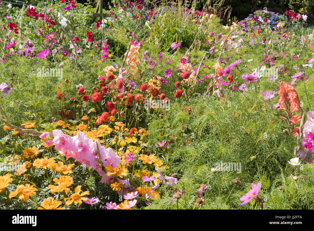 Pretty Cottage Garden Growing A Variety Of Annual And Biannual