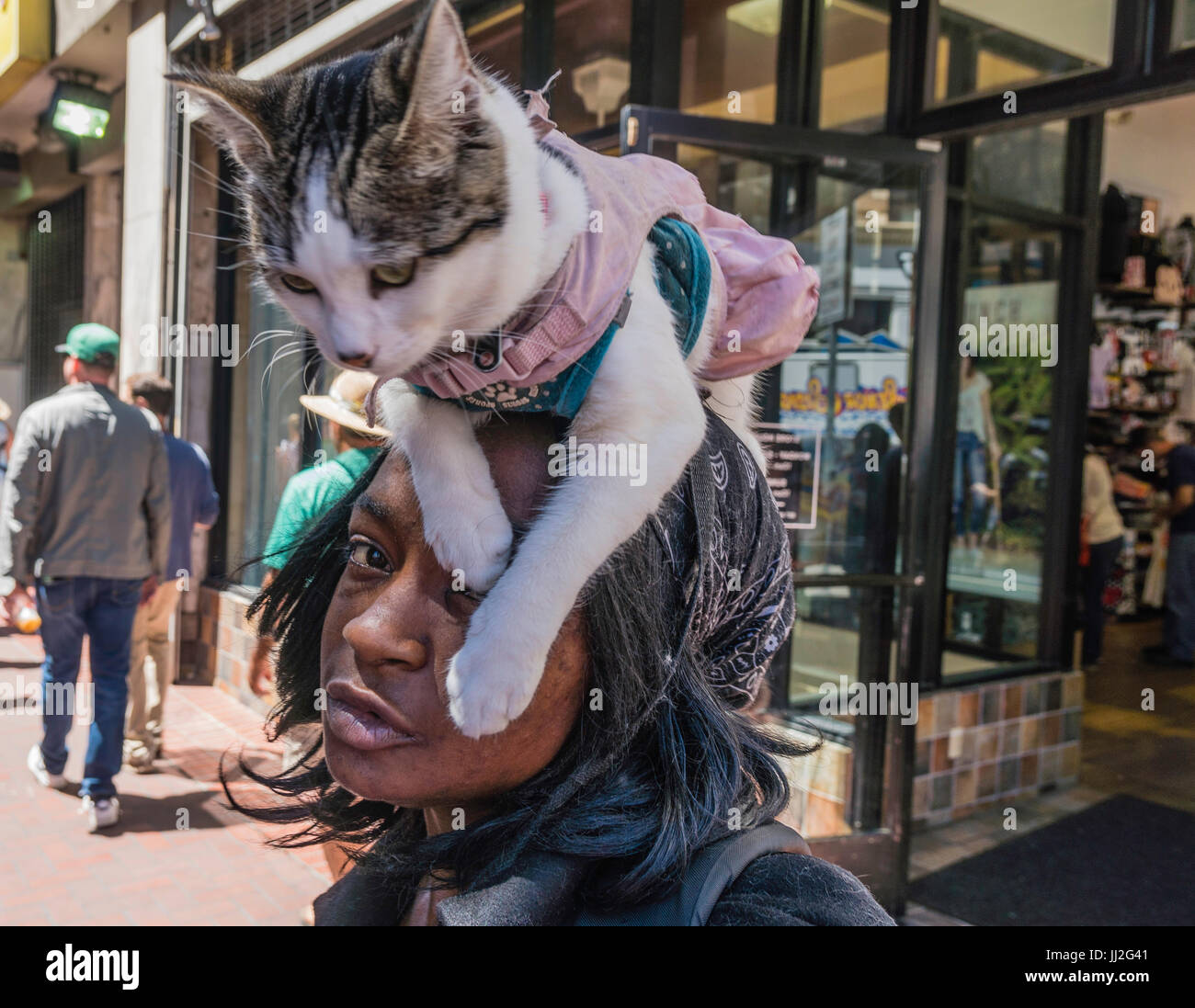A pet cat rides through the streets of San Francisco on the head of her AfricanAmerican female