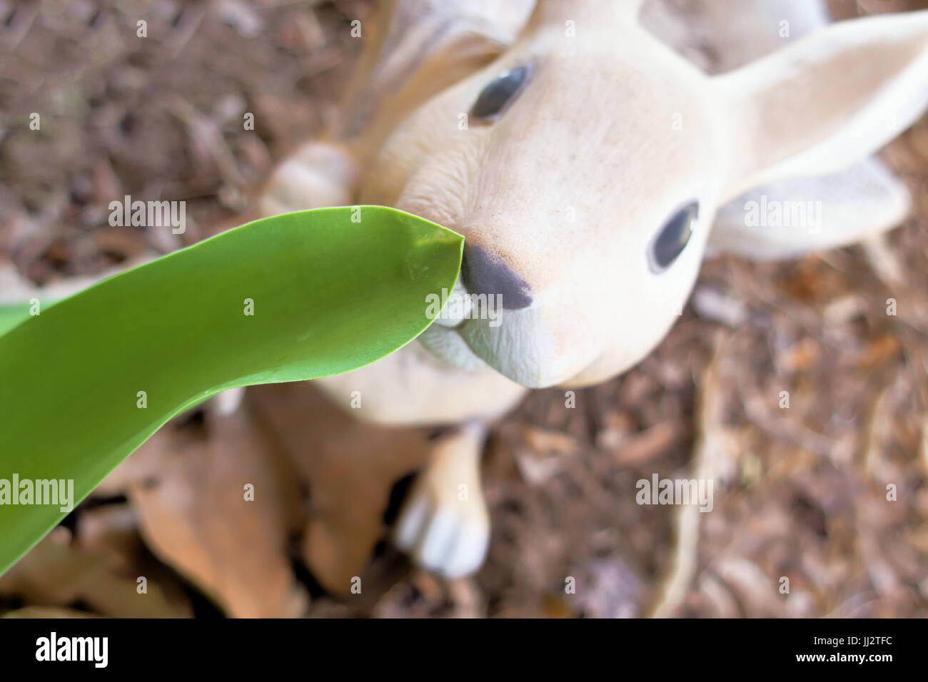 A stone rabbit sniffing a green daffodil leaf Stock Photo Alamy