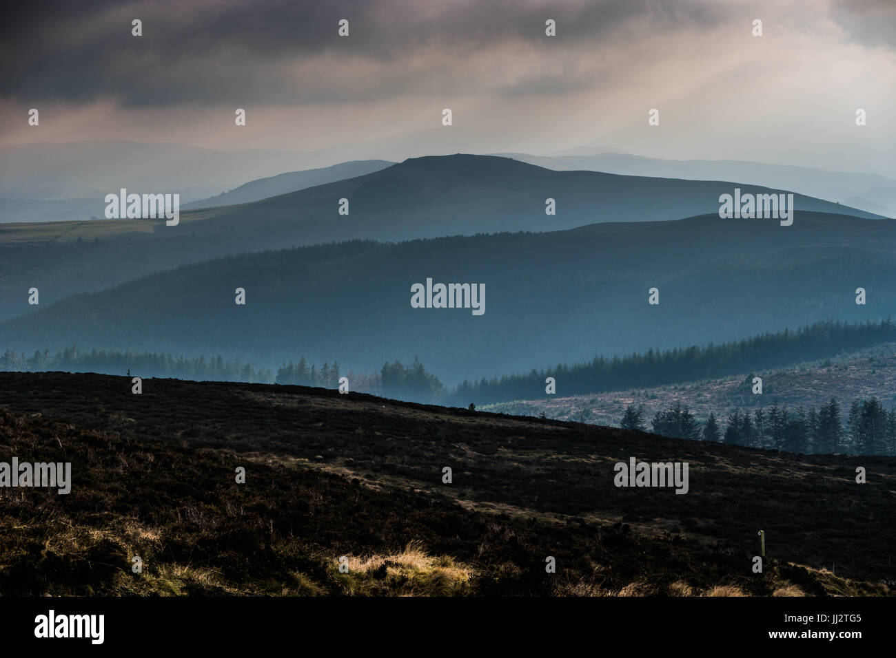 Hill path at high level in heather moorland with misty valley. Stock Photo