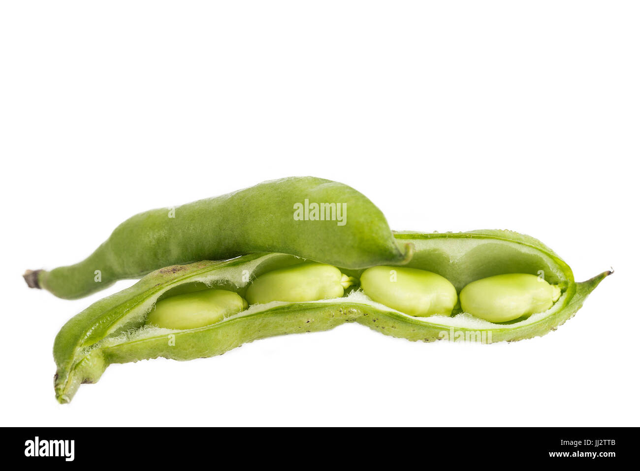 closeup of some broad bean pods and beans on white Stock Photo