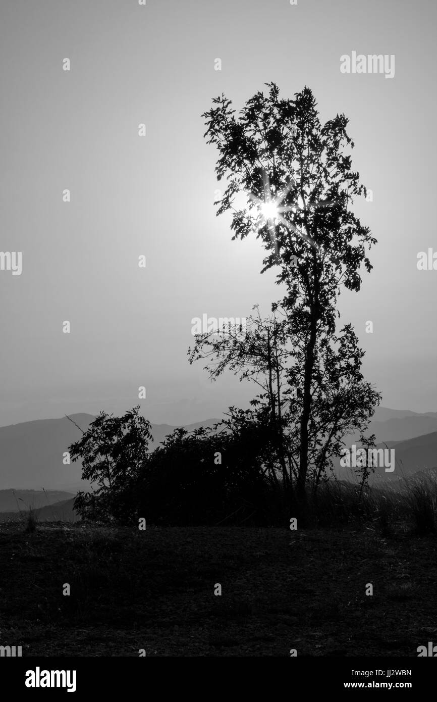 Lonely landscape Black and White Stock Photos & Images - Alamy