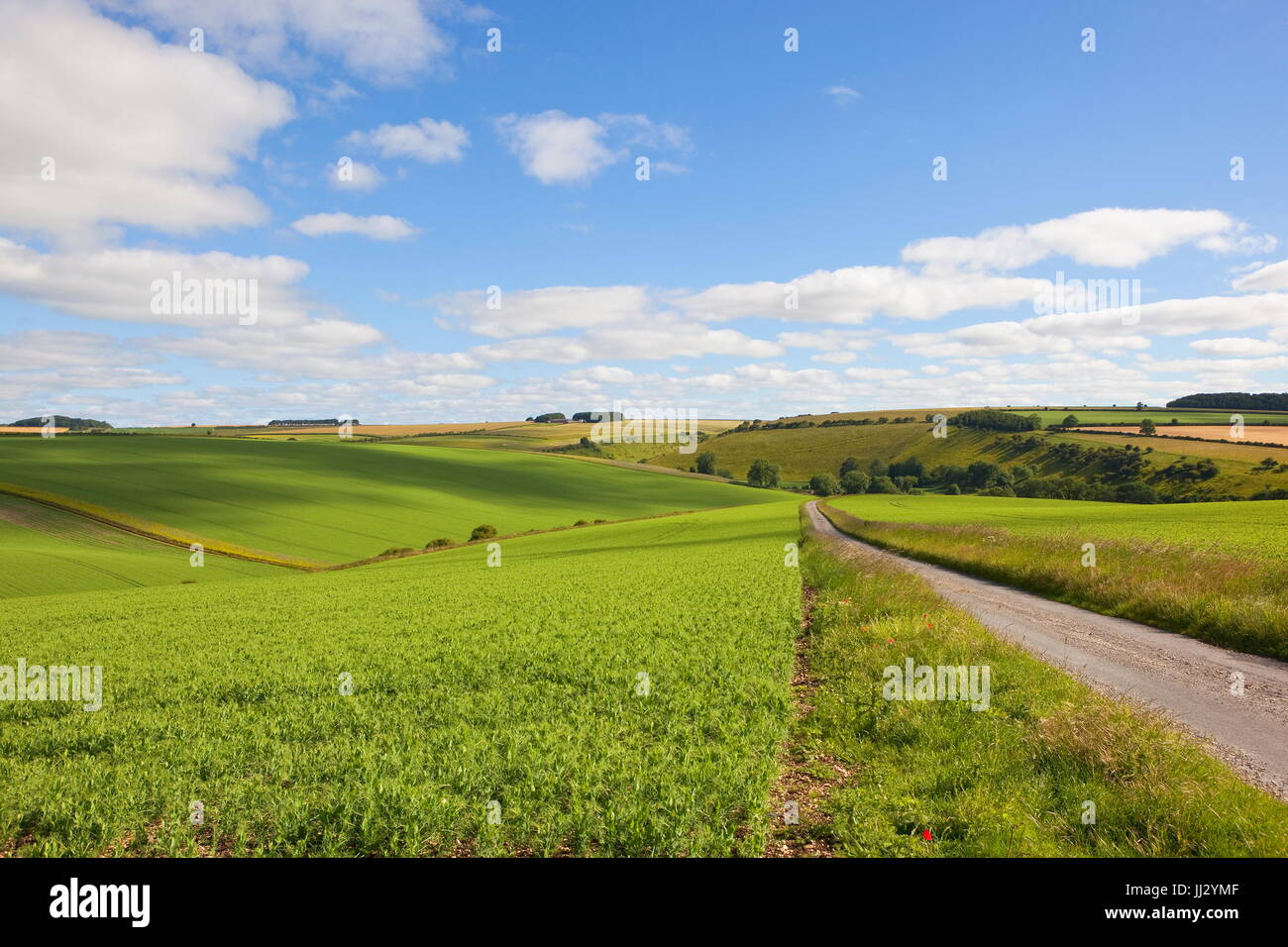 Patchwork of small fields hi-res stock photography and images - Alamy