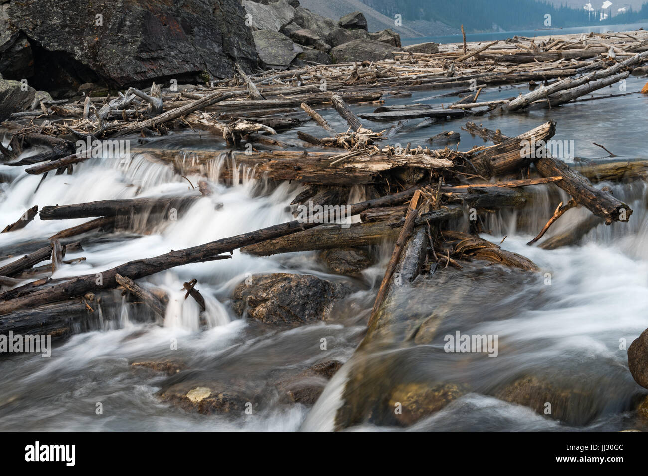 Driftwood log jam as water cascades down the falls leaving Moraine Lake