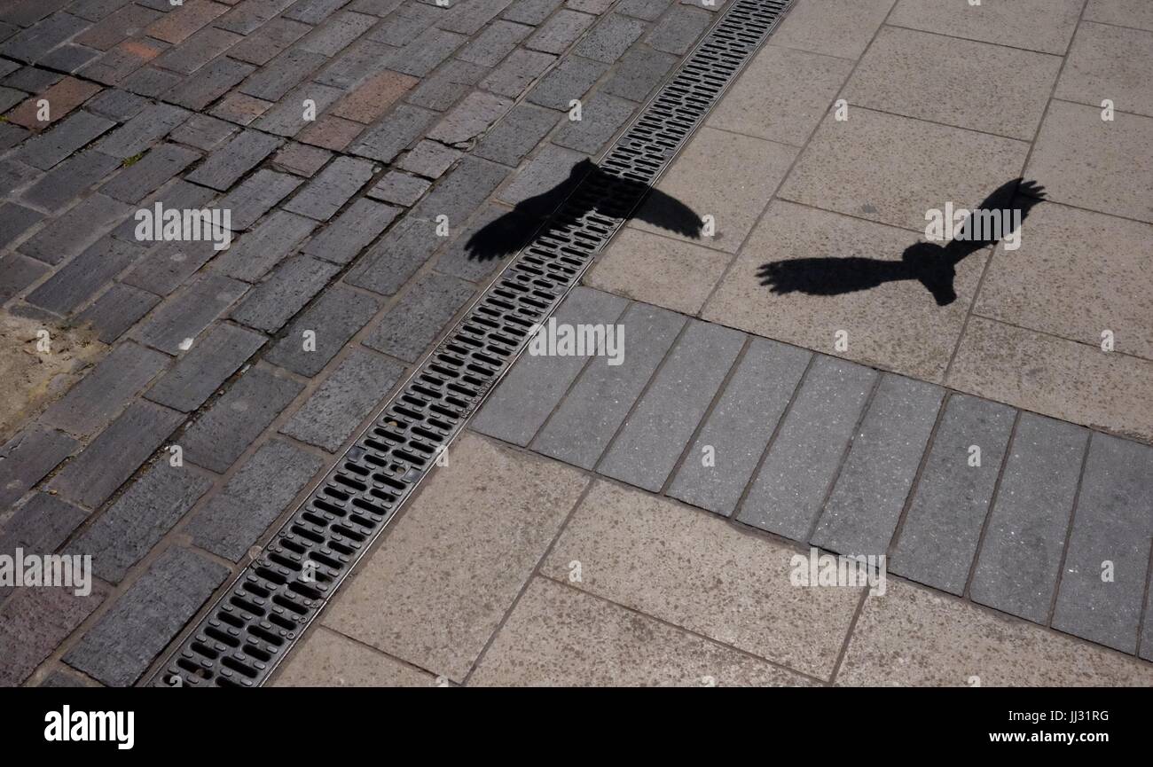 The shadows of two pigeons who were way too fast for me outside Euston Station in London Stock Photo