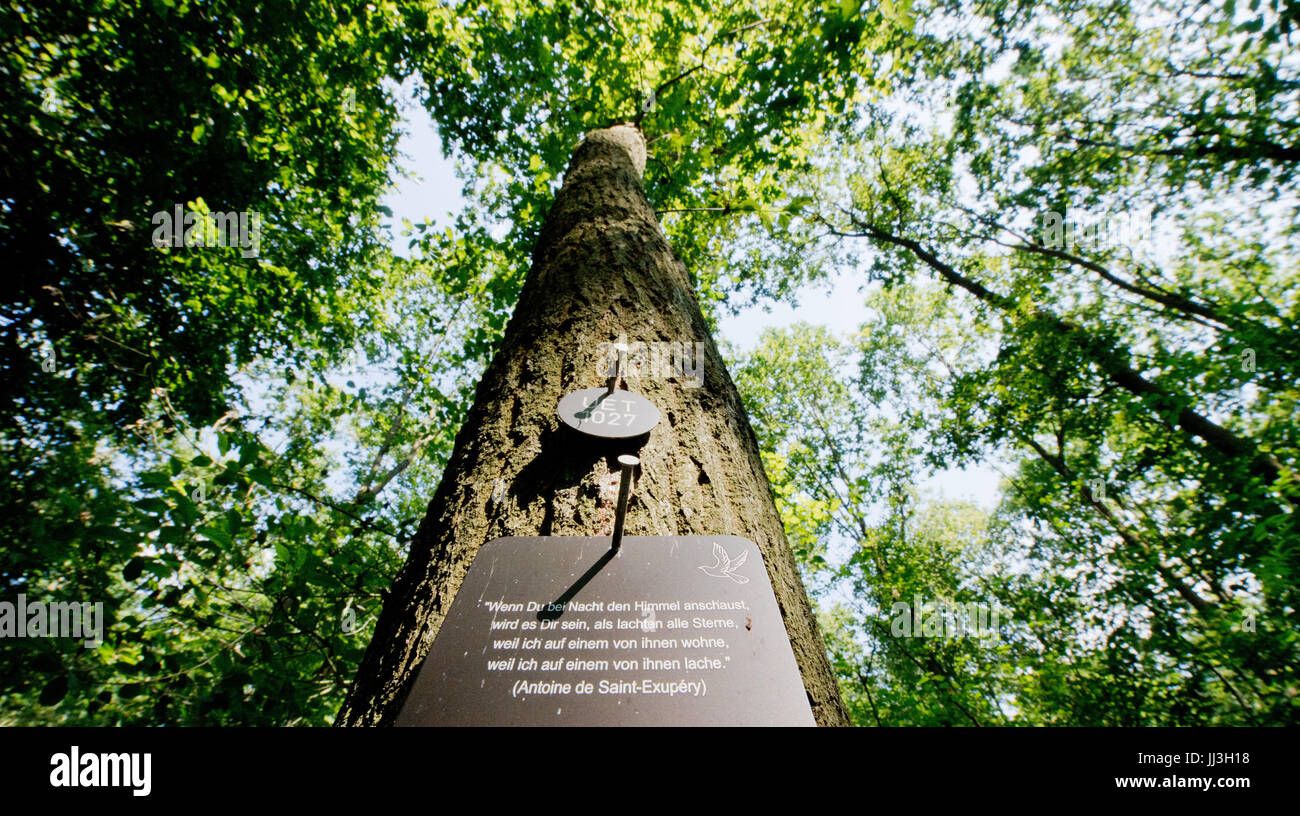 Bestattungswaelder hi-res stock photography and images - Alamy