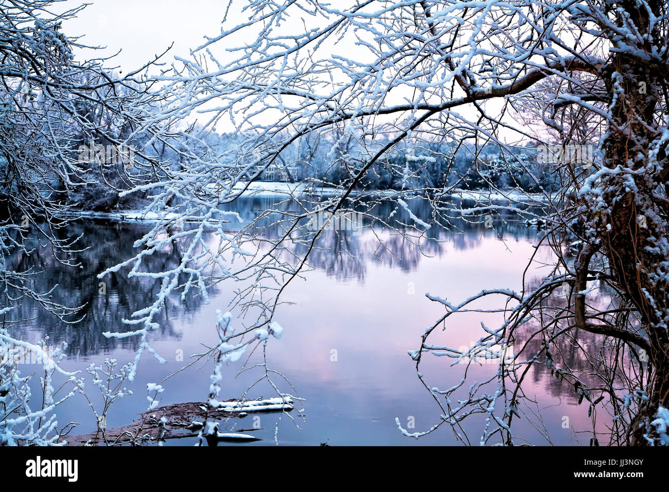 Riverbank snowy scenic view, trees reflect in water, tranquil, dusty pink tones Stock Photo