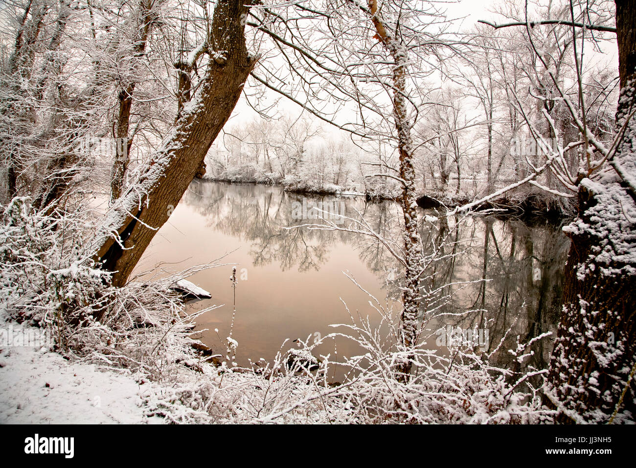 Riverbank snowy scenic view, trees reflect in water, tranquil, dreamy winter scene. Stock Photo