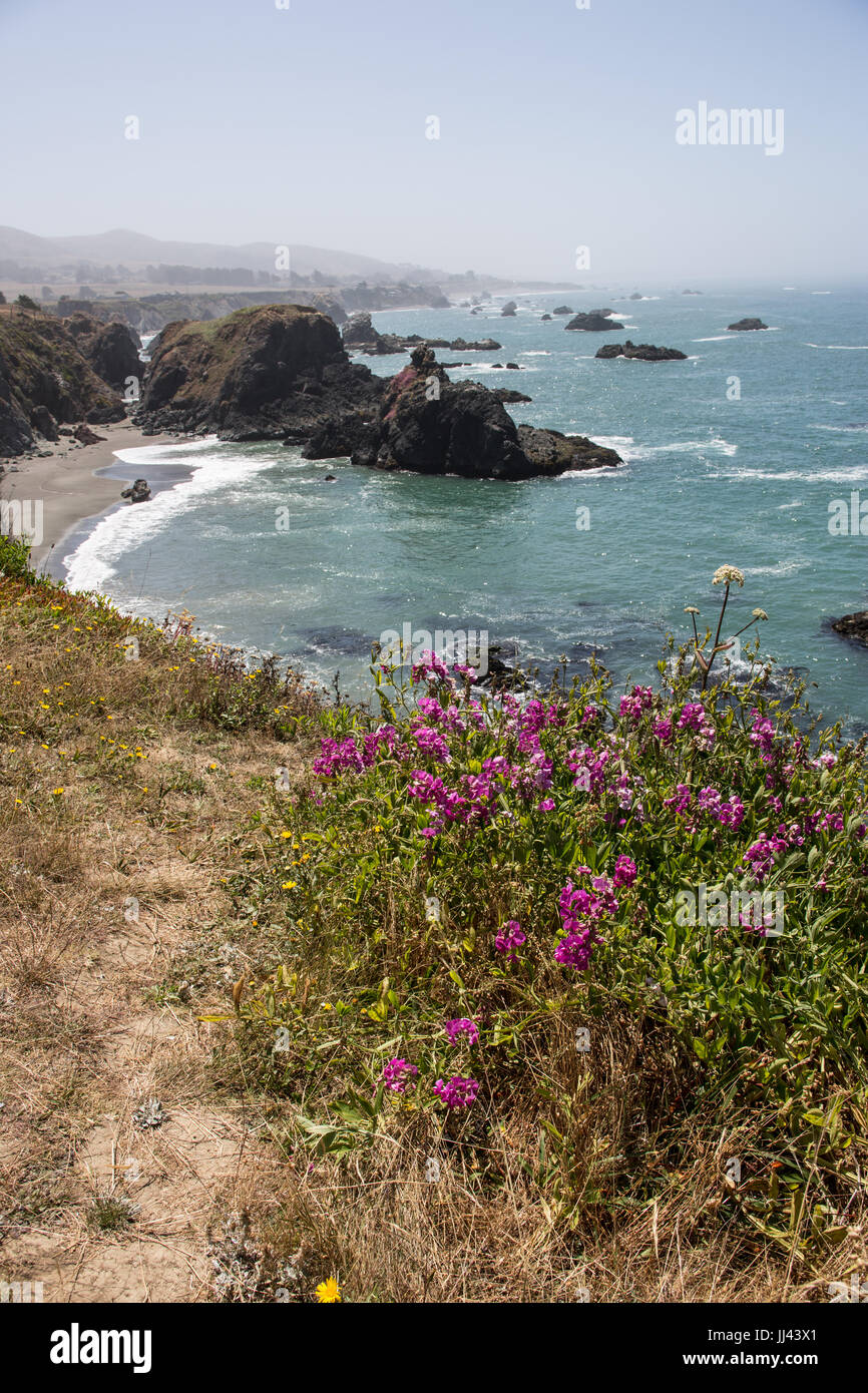 Russian river california hi-res stock photography and images - Alamy