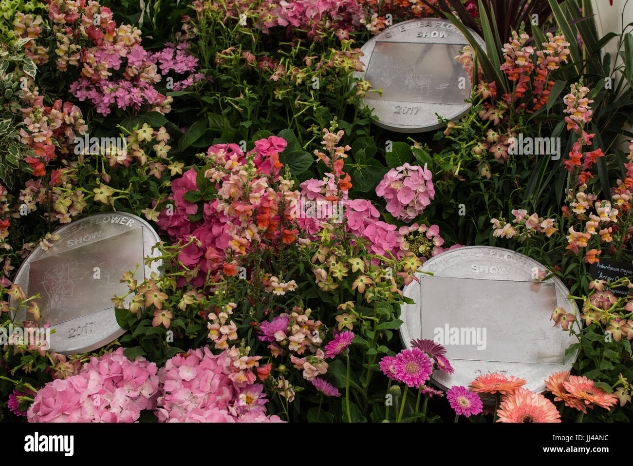 Chelsie flower show London England Stock Photo - Alamy