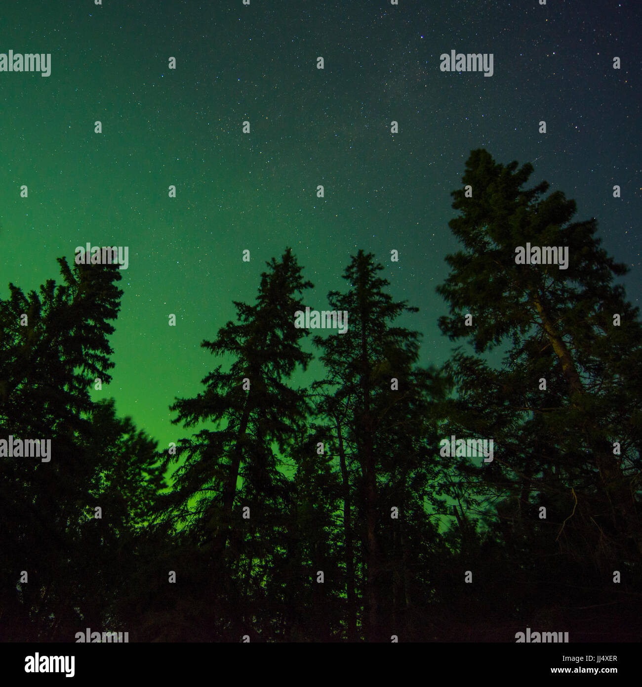Edmonton forests hires stock photography and images Alamy