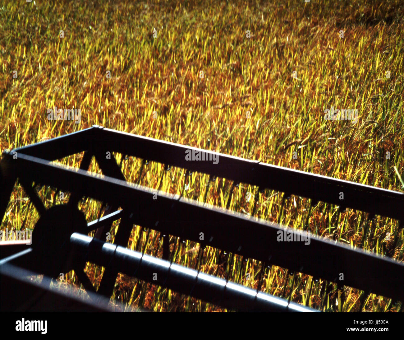 Agricultural machine, São Paulo, Brazil Stock Photo Alamy
