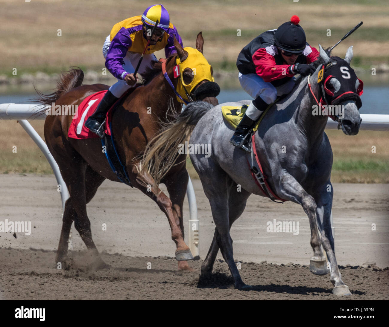 Horse racing action at the Cal Expo in Sacramento, California Stock