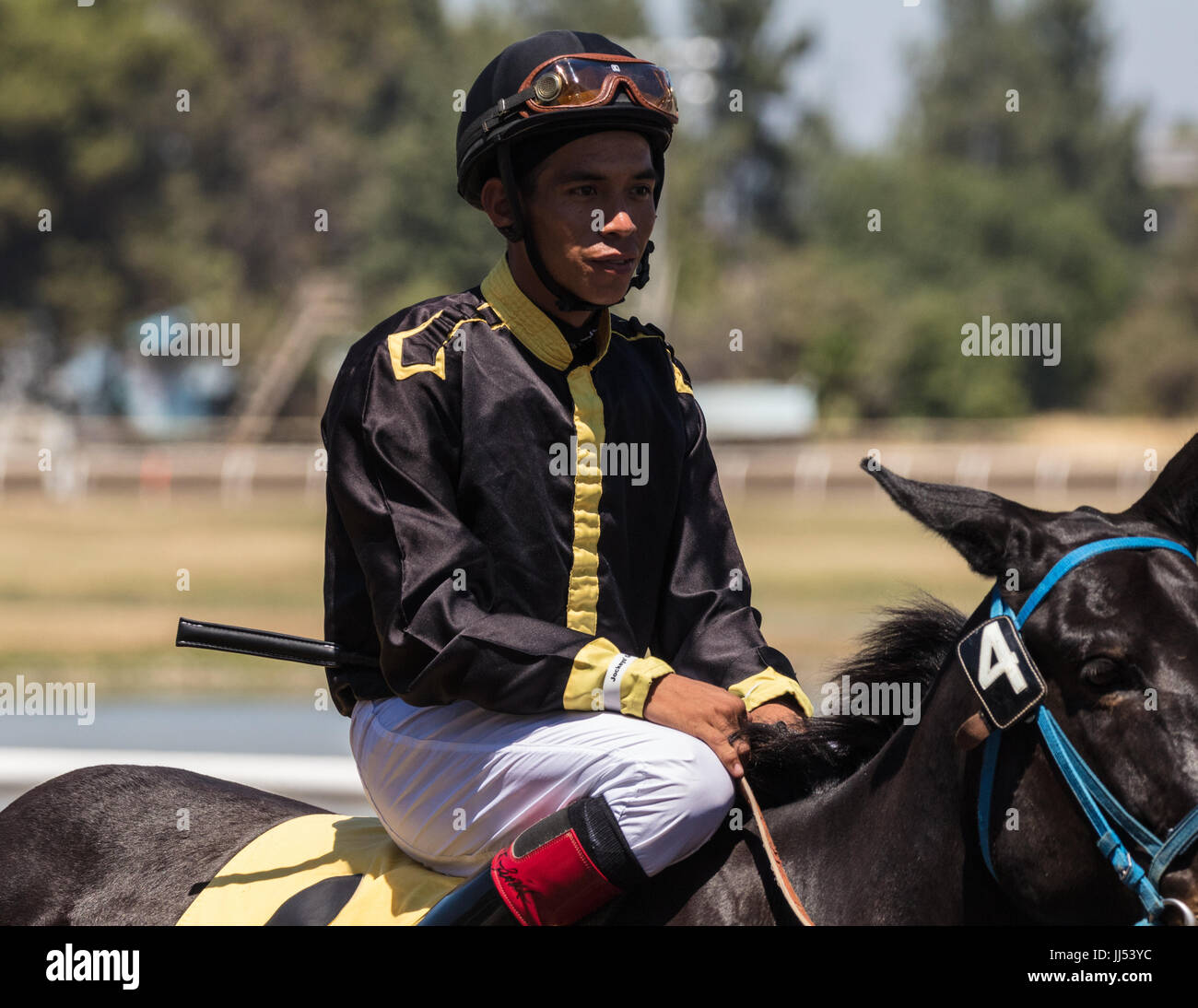 Horse racing action at the Cal Expo in Sacramento, California Stock