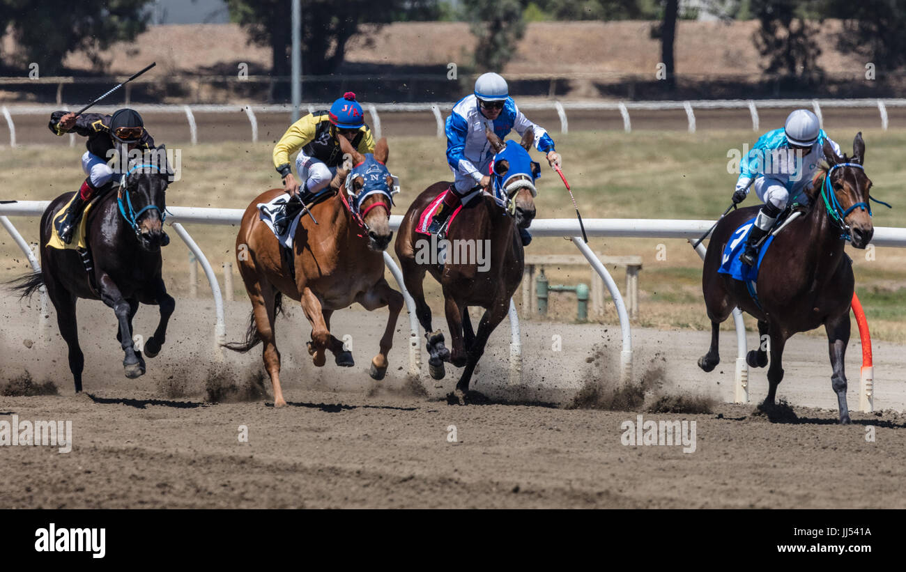 Horse racing action at the Cal Expo in Sacramento, California. Stock Photo