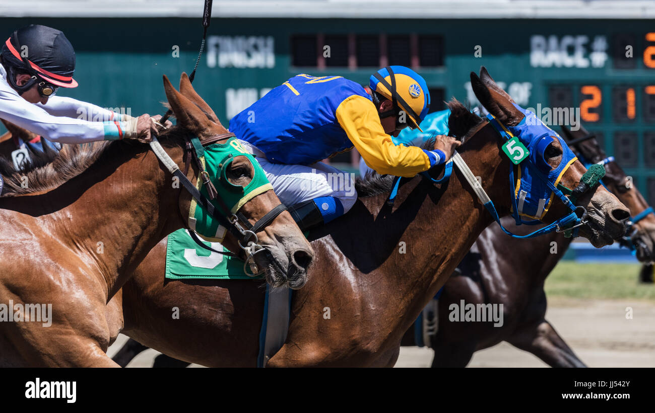 Horse racing action at the Cal Expo in Sacramento, California Stock ...