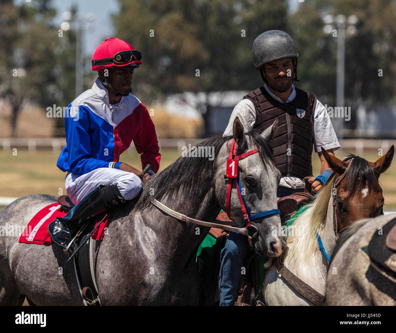 Horse racing action at the Cal Expo in Sacramento, California Stock