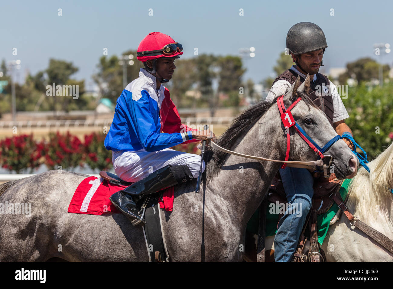 Horse racing action at the Cal Expo in Sacramento, California Stock 