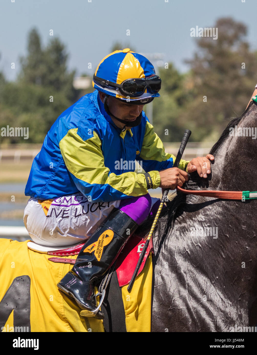 Horse racing action at the Cal Expo in Sacramento, California Stock