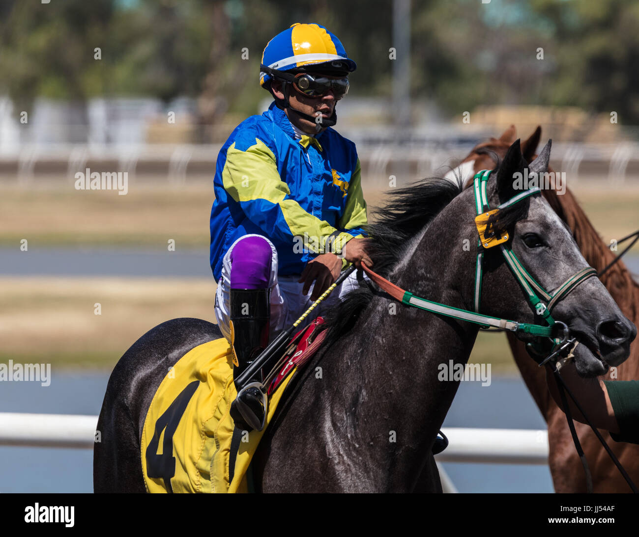 Horse racing action at the Cal Expo in Sacramento, California Stock