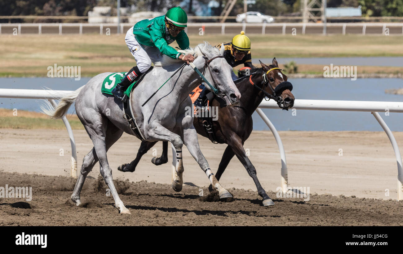 Cal expo horse racing hi-res stock photography and images - Alamy