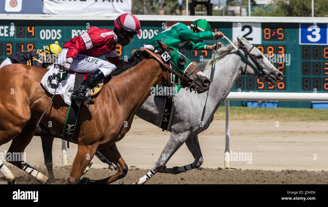 Horse racing action at the Cal Expo in Sacramento, California Stock