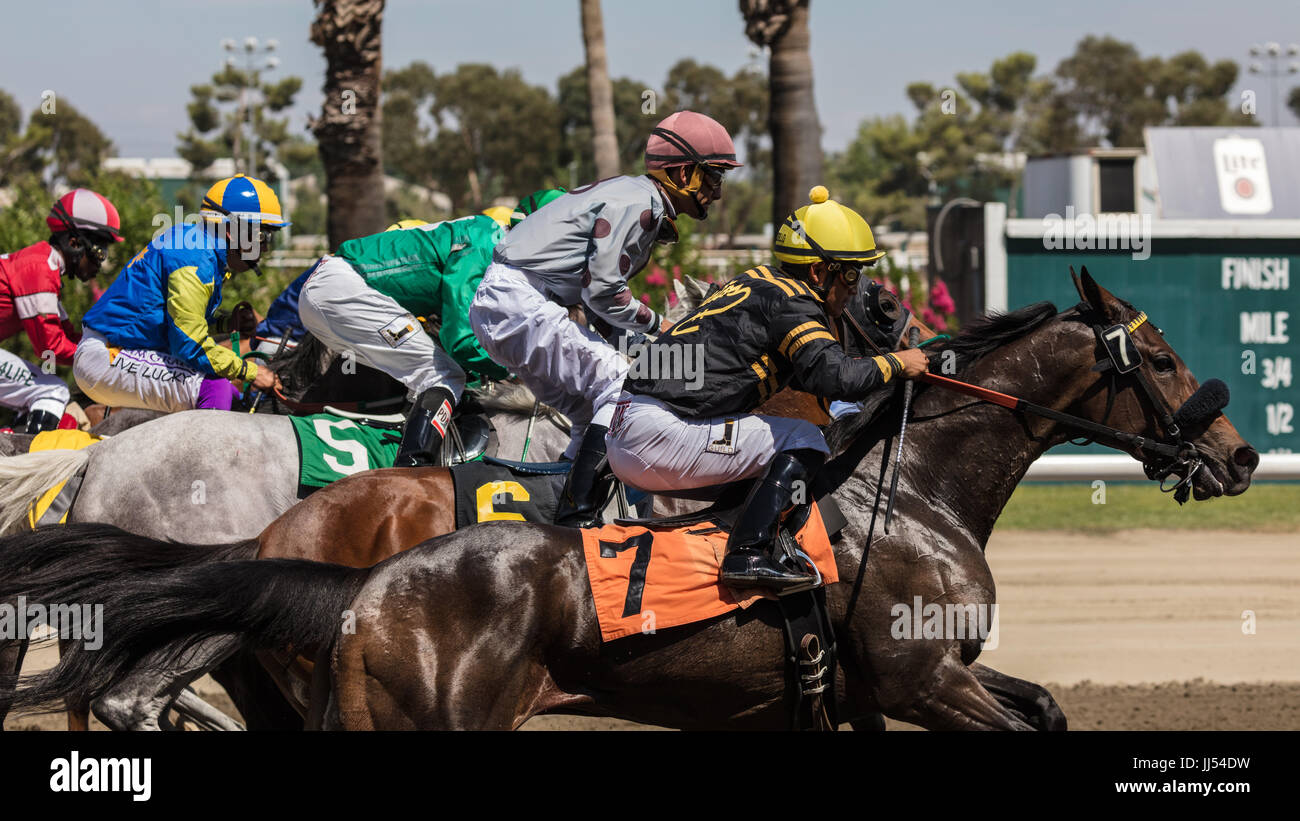 Horse racing action at the Cal Expo in Sacramento, California. Stock Photo