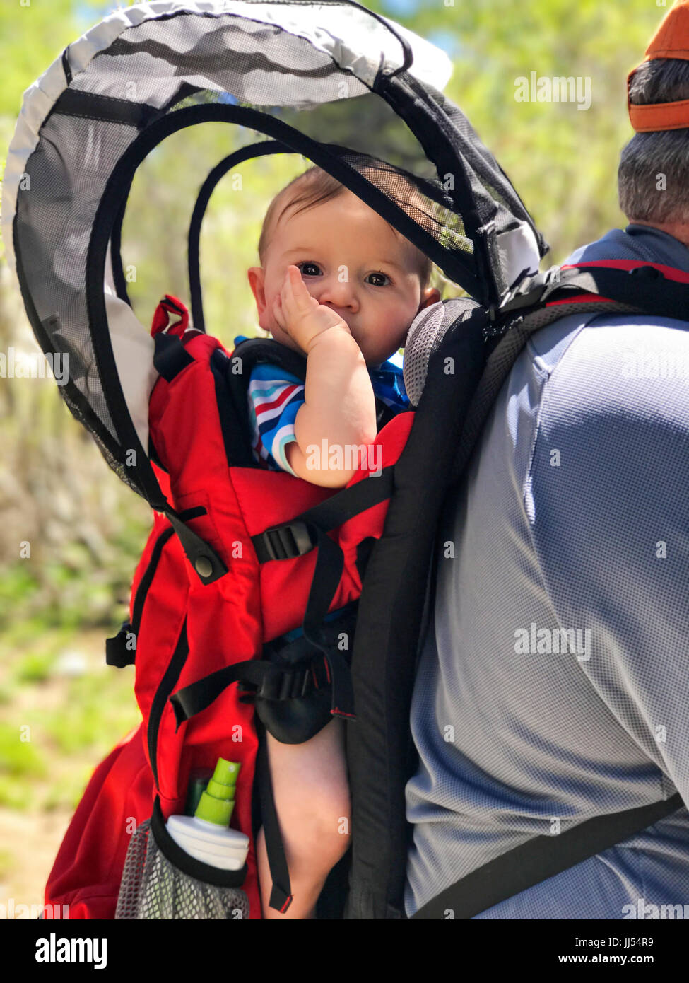 baby in backpack carrier Stock Photo