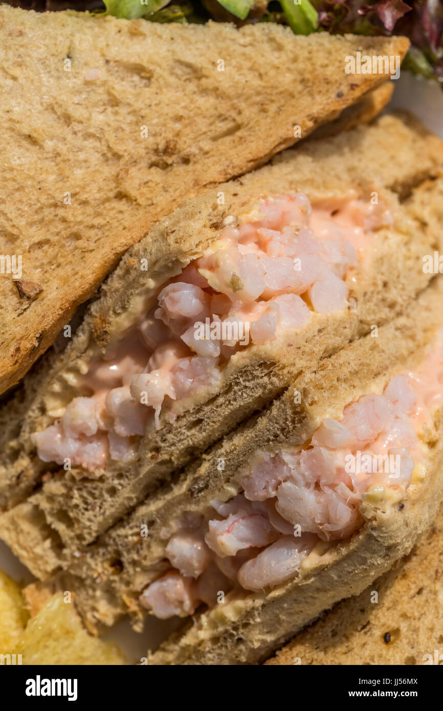 Prawn sandwich on brown bread Stock Photo Alamy