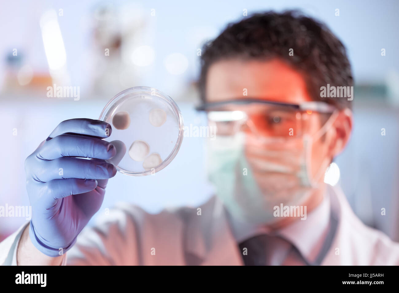 Life science researcher observing cells in petri dish. Stock Photo