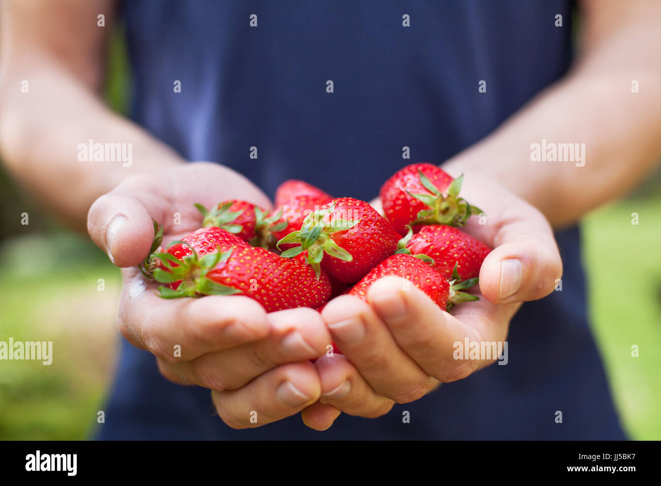 hands with fresh strawberry, close up Stock Photo