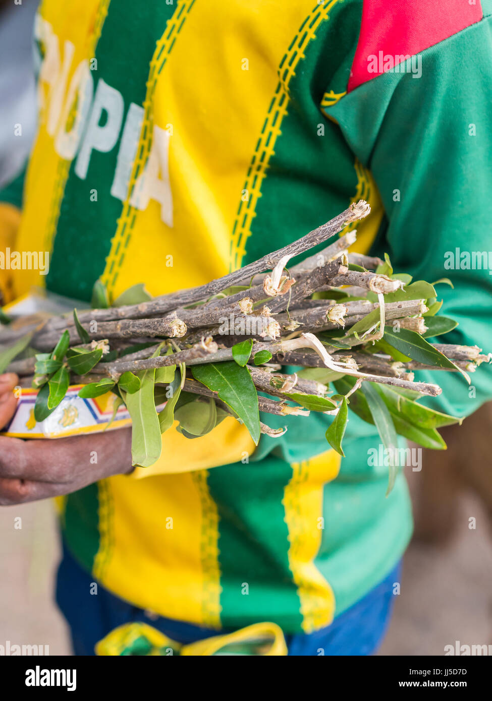 AXUM, ETHIOPIA- June 30, 2016: A boy selling mefakia, a natural wooden toothbrush used in Ethiopia. Stock Photo