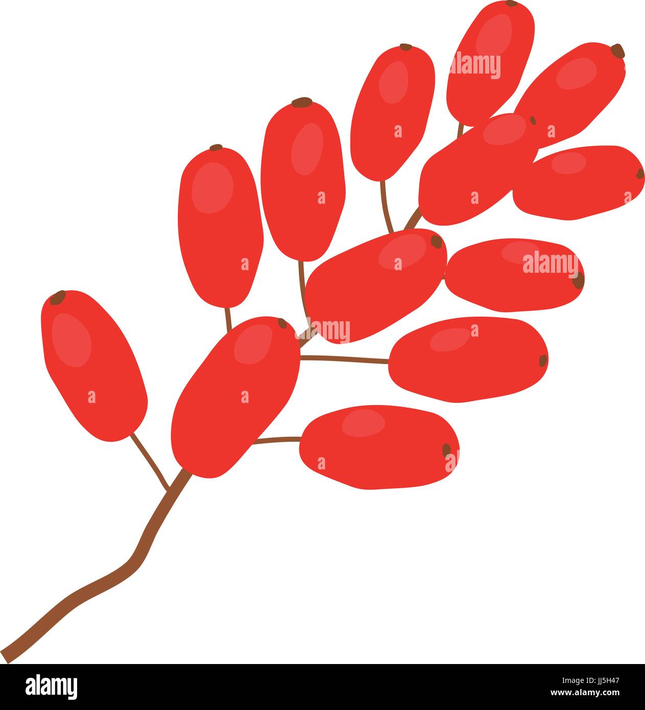 Sumac icon, cartoon style Stock Vector Image & Art Alamy