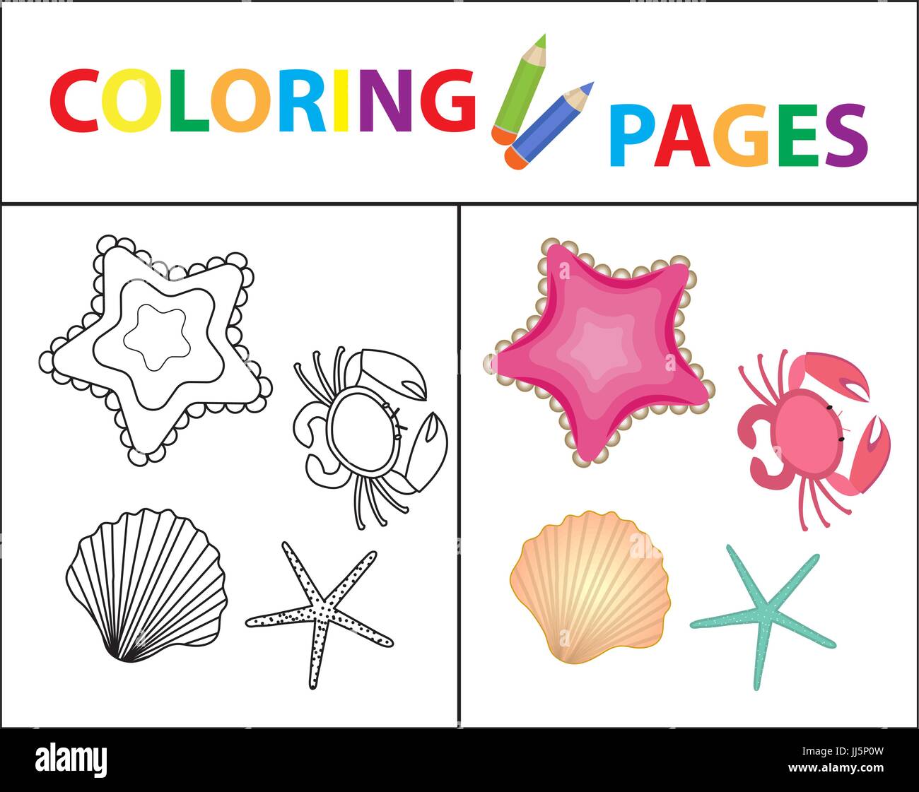 Coloring Book Page Sea Set Star Shell Crab Pearl Sketch Outline And Color Version For Kids Childrens Education Vector Illustration
