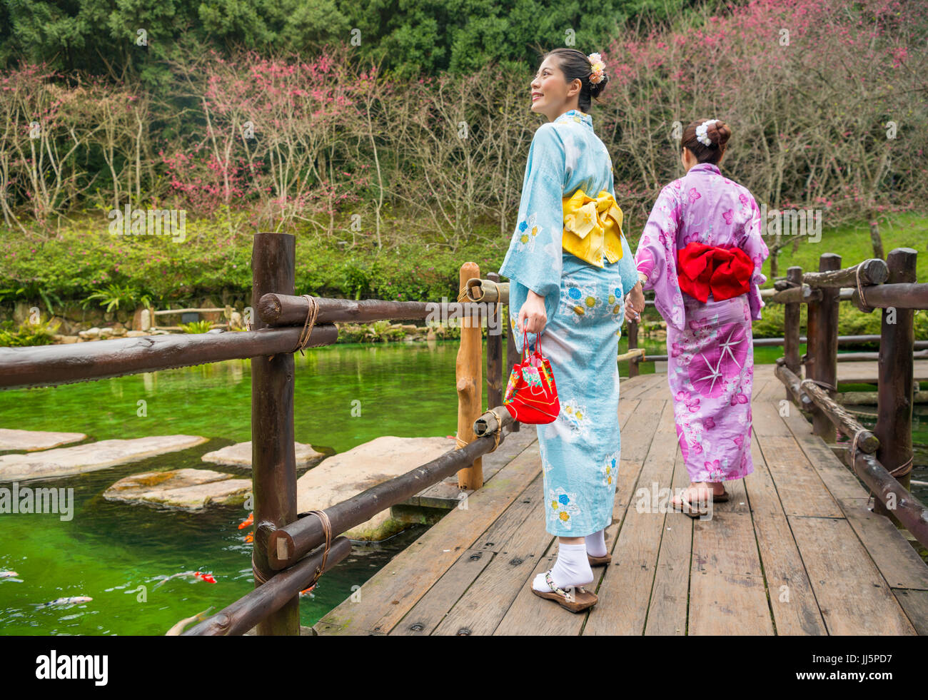 Japanese girlfriends dressing kimono sightseeing cherry blossom during spring vacation travel. Asian woman walking on antique bridge promenade holiday Stock Photo