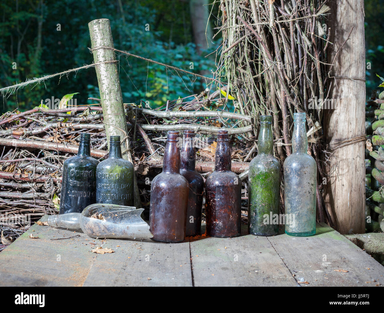 Dusty old bottles owned by Mark Eccleston former railway signaller, who rents seven acres of reclaimed woodland in Telford, Shropshire. United Kingdom Stock Photo