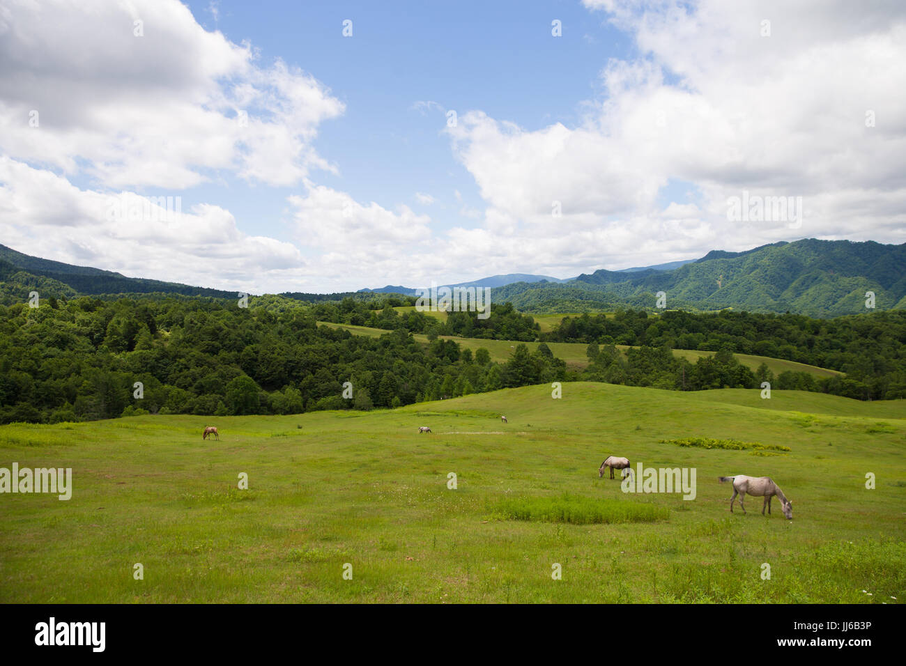 Ranch in Hokkaido Stock Photo