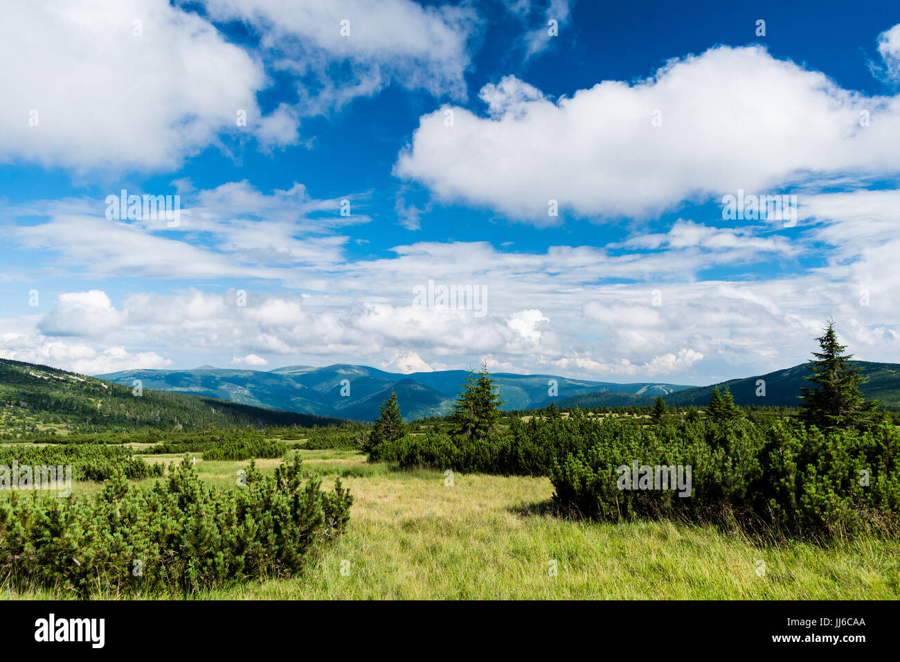 View of National Park Krkonose (Giant Mountains) from area around Labska Louka. Stock Photo