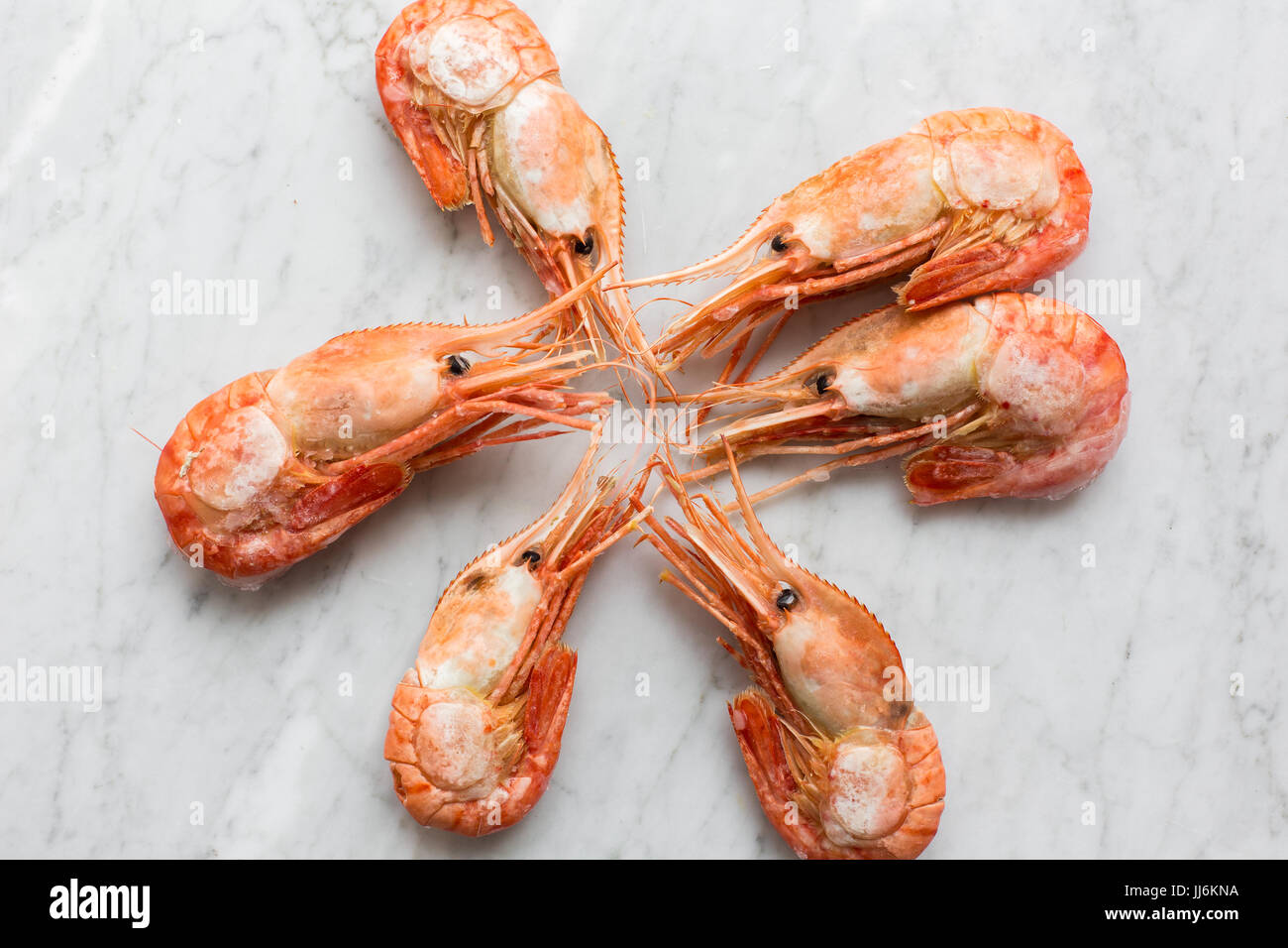 Beautiful fresh shrimps on a light marble background Stock Photo - Alamy