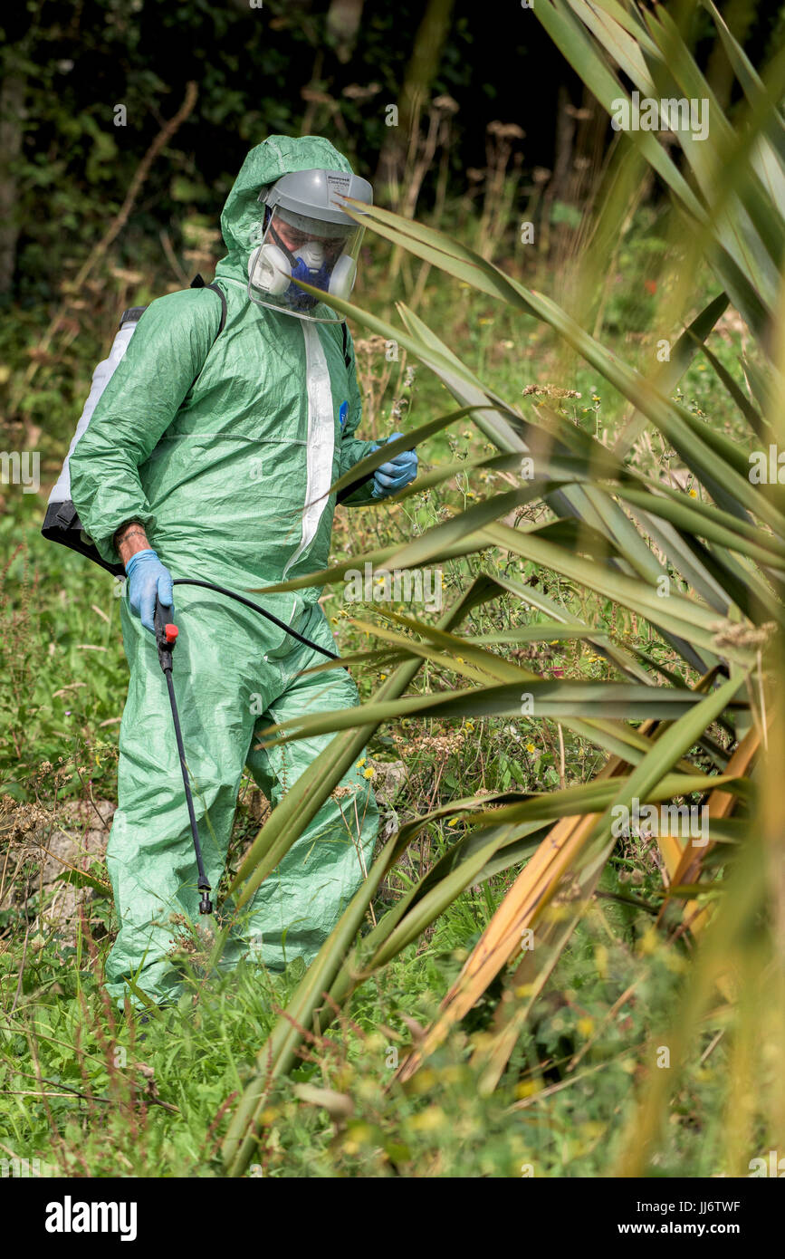 Gardening weed killer hires stock photography and images Alamy