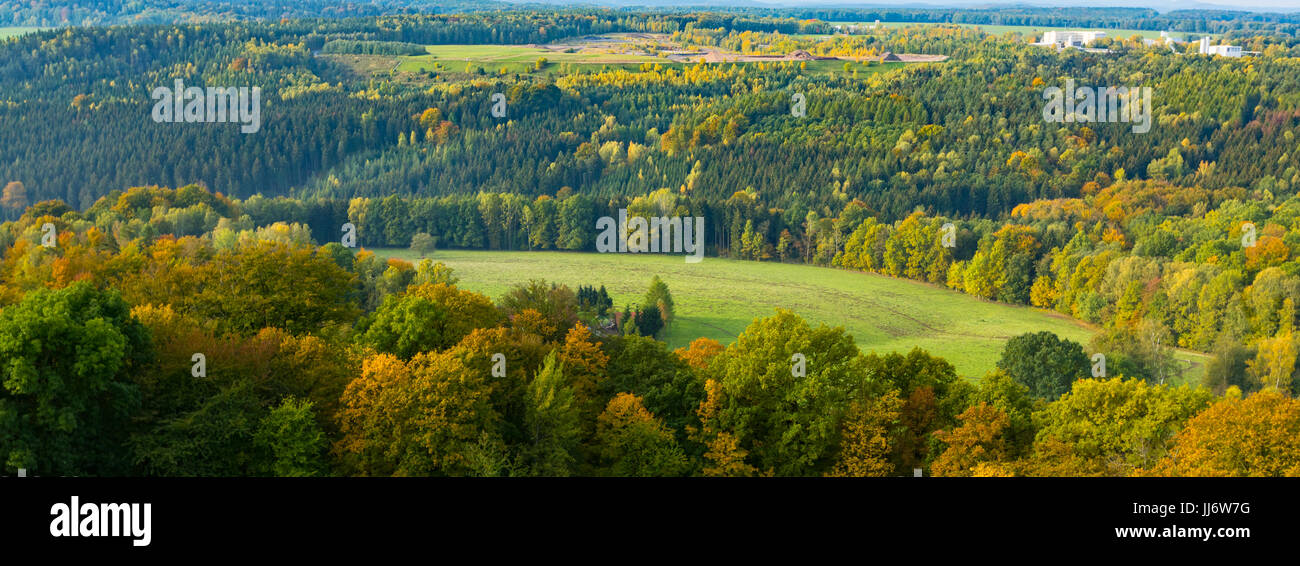 Autumn forest from a bird's eye view Stock Photo