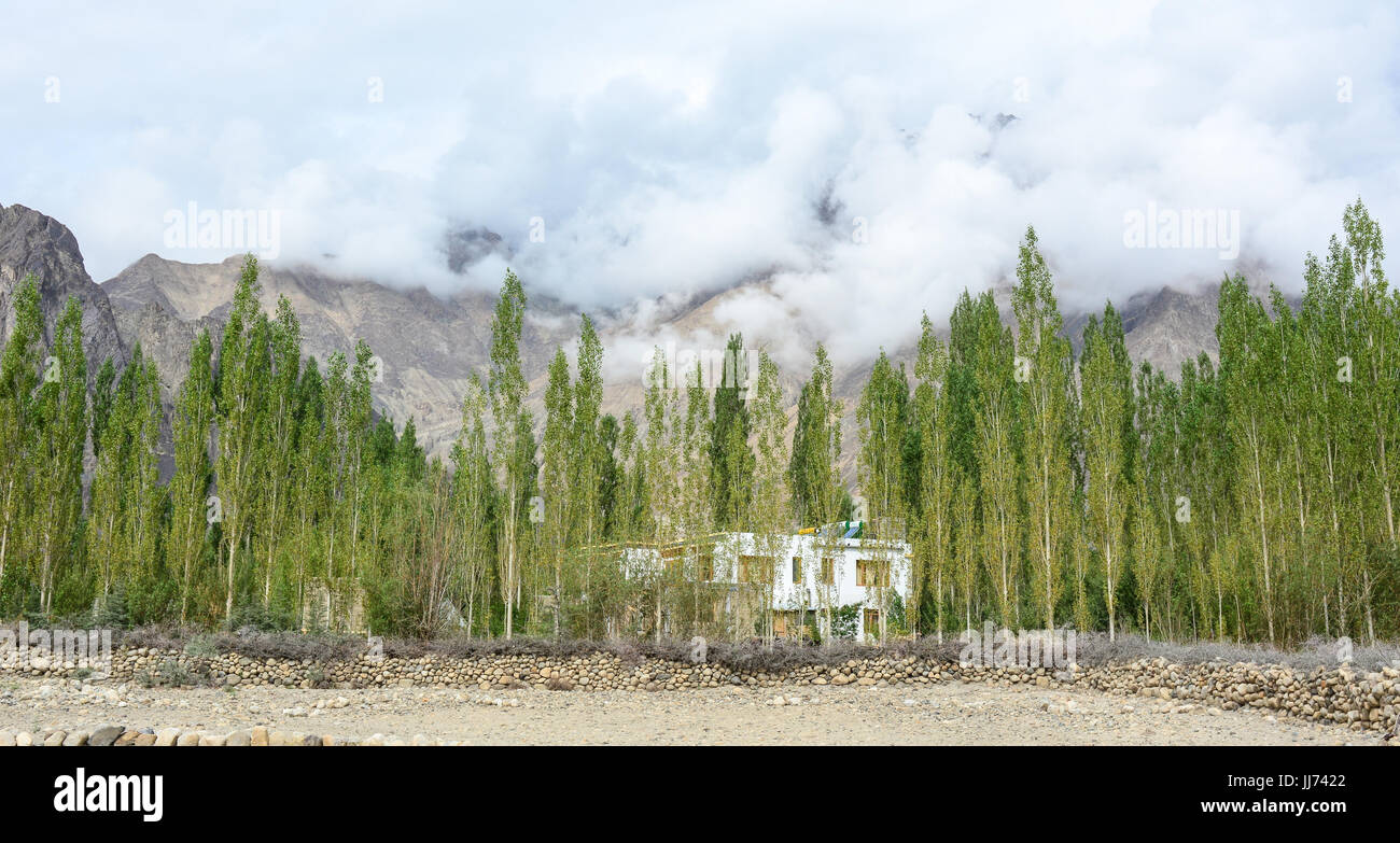 Small house with pine trees at sunny day in Leh, Ladakh, India. Ladakh