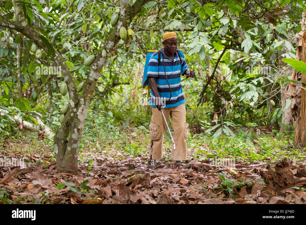 Ghana farmer hires stock photography and images Alamy