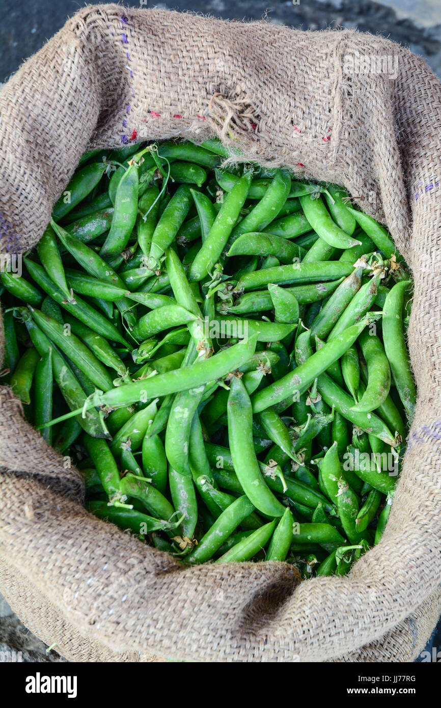 Green beans in bag for sale at rural market. Close up Stock Photo Alamy