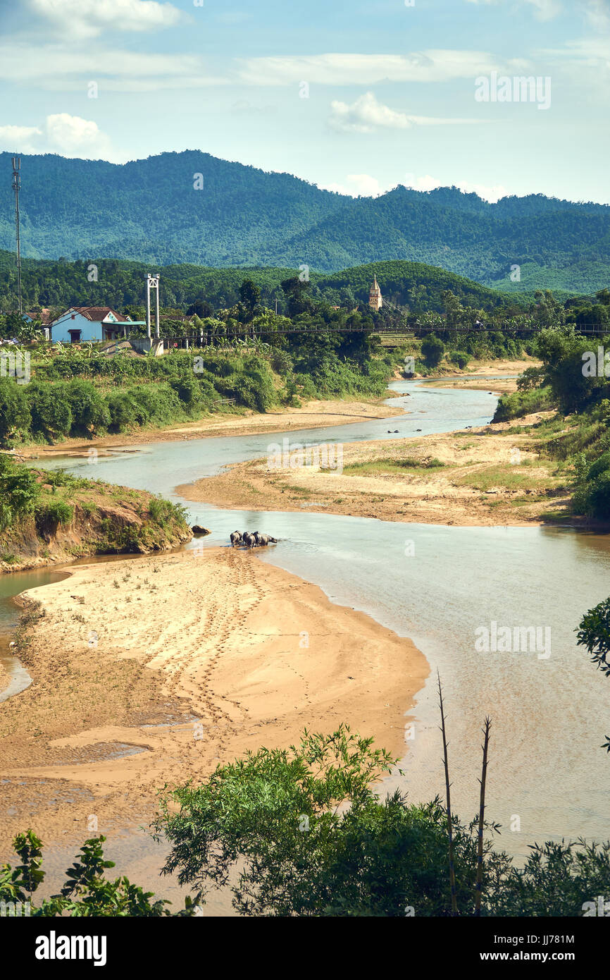 A herd of water buffalos making footprints in the mud in a clear river in the National Park of Phong Nha Ke Bang, Vietnam. With big mountains in the background. Stock Photo