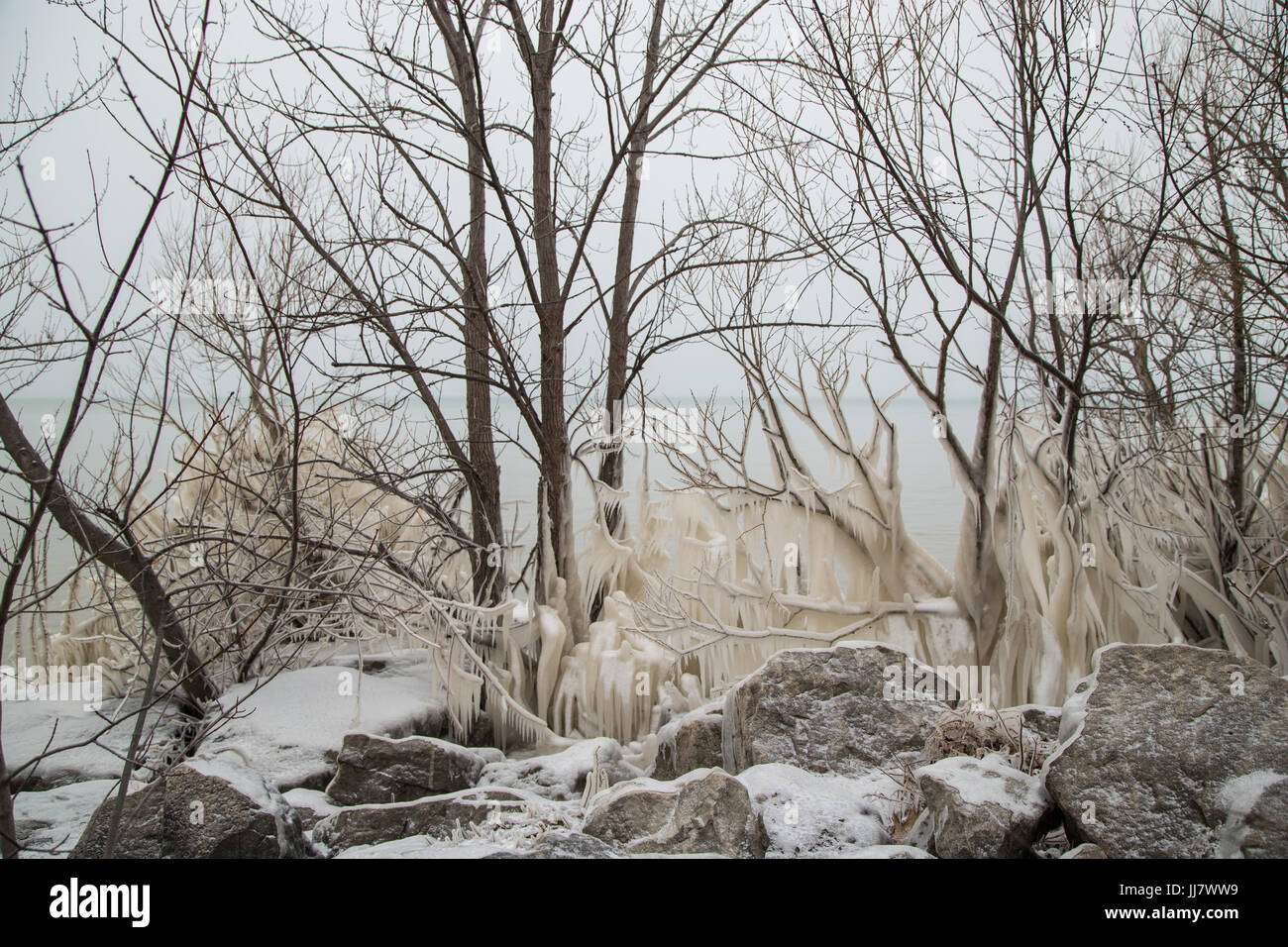 Ice and trees hi-res stock photography and images - Alamy