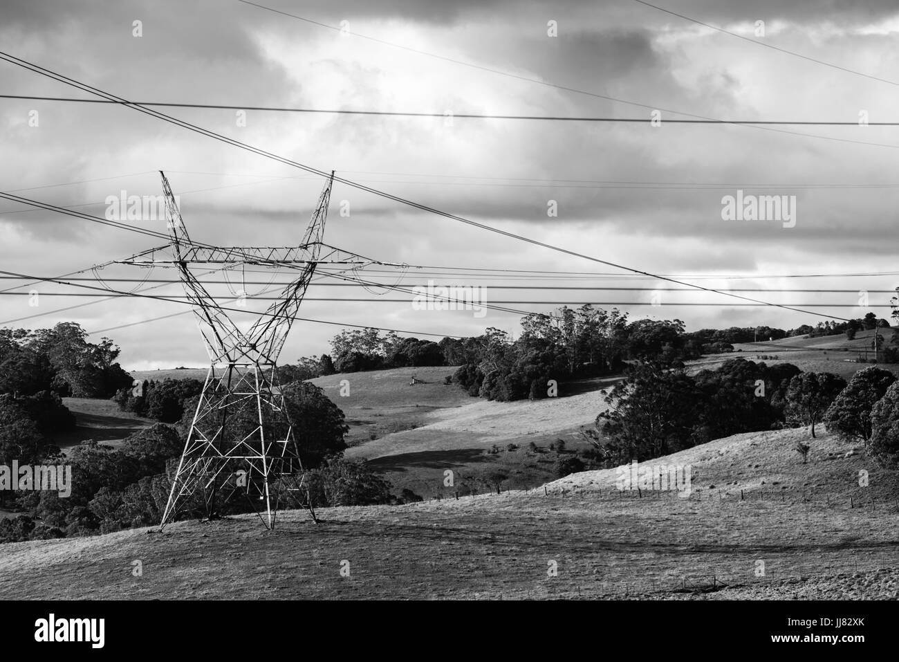 High tension electricity power lines and poles stretching through rural paddocks Stock Photo