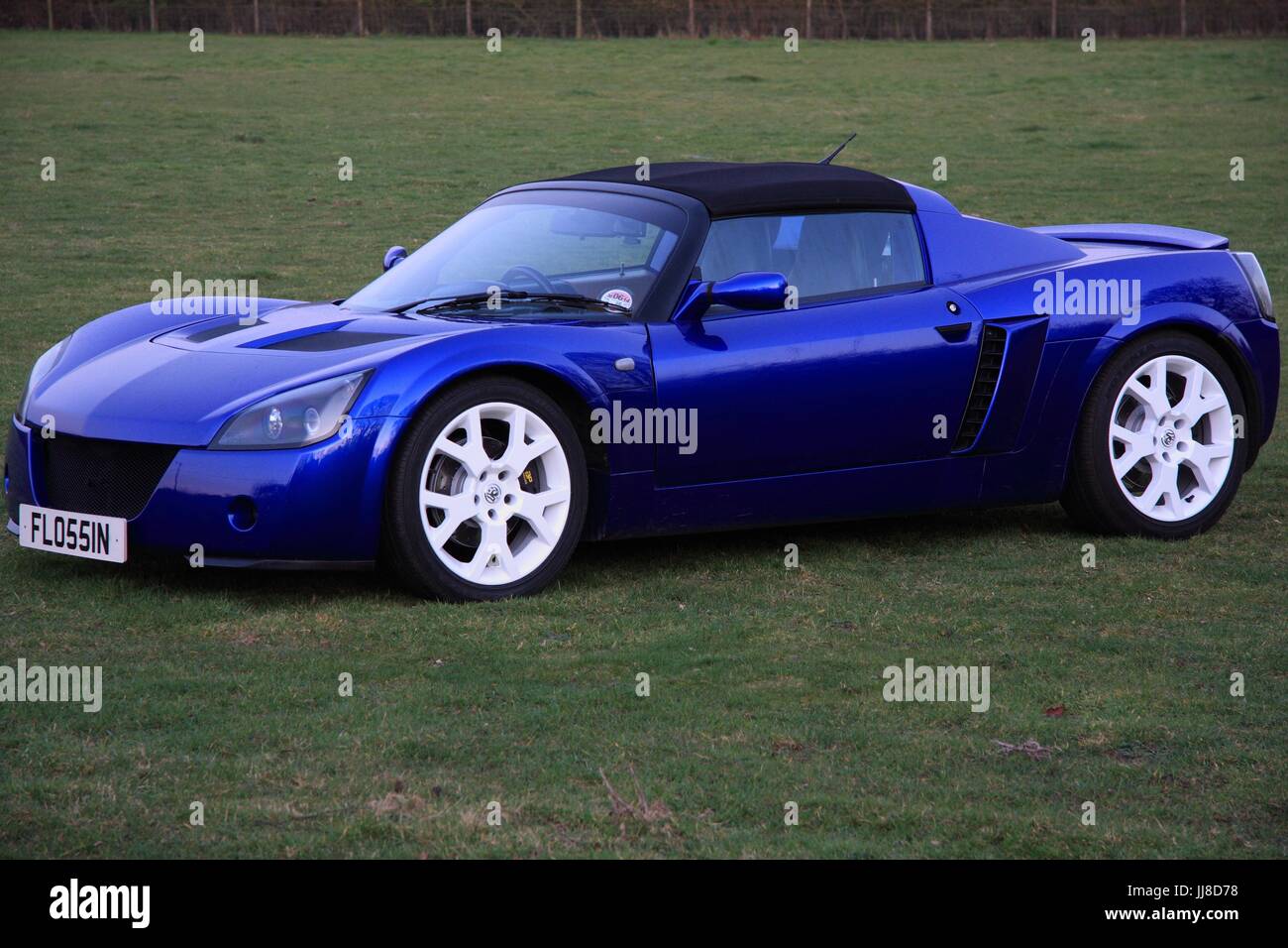 Vauxhall VX220 Turbo lost in a field Stock Photo